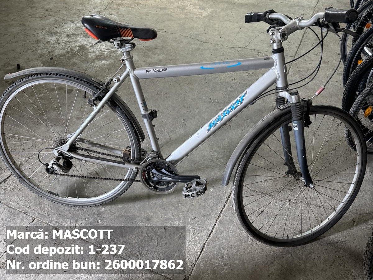 Bicicleta- Mascott 1