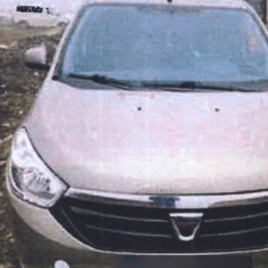 Miniatură 4