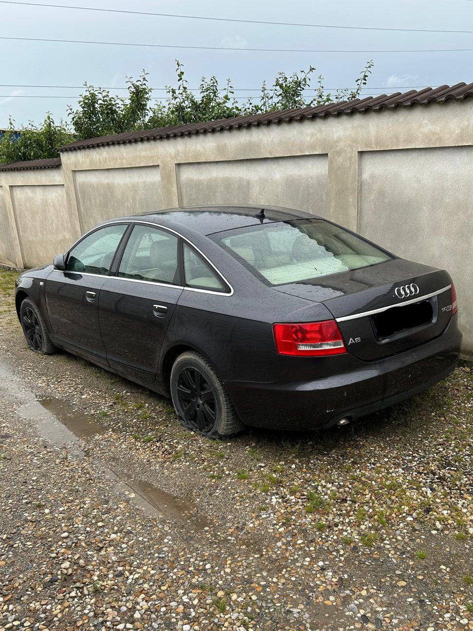 Miniatură 4
