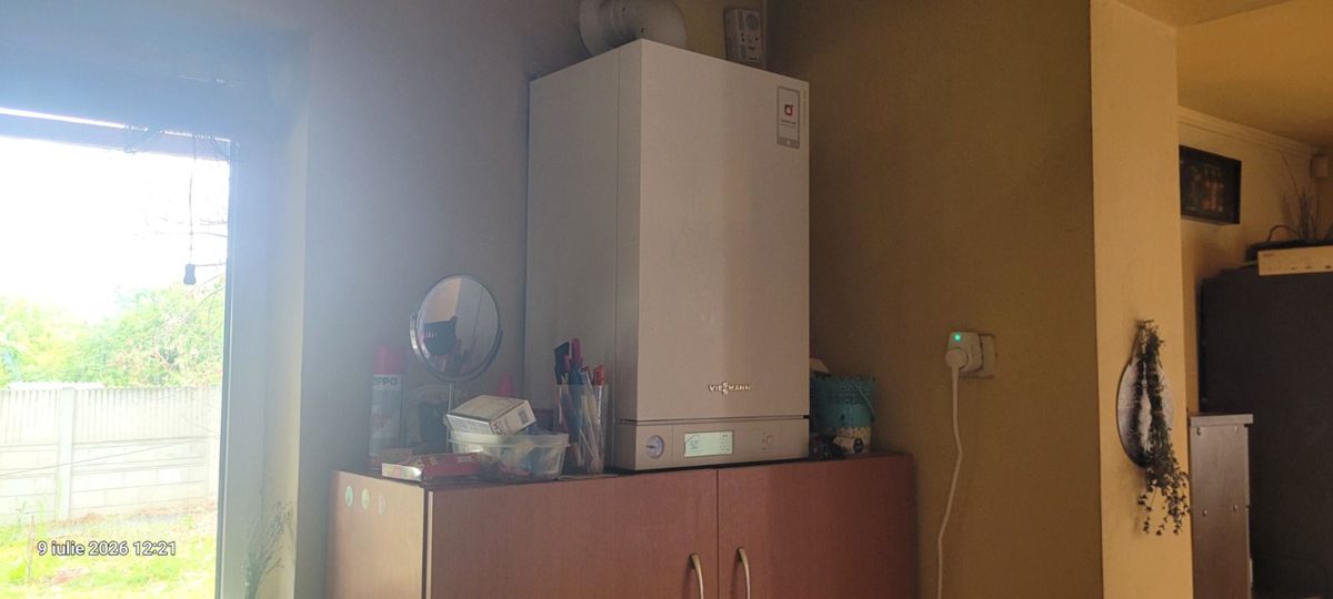 Miniatură 11