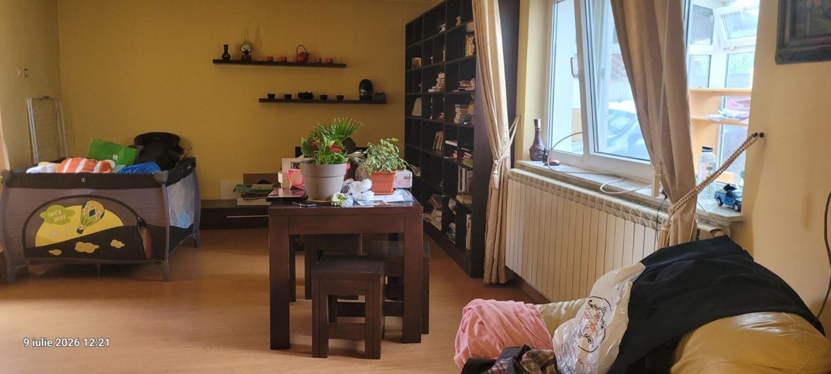 Miniatură 13
