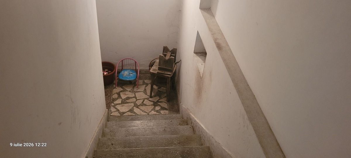 Miniatură 14