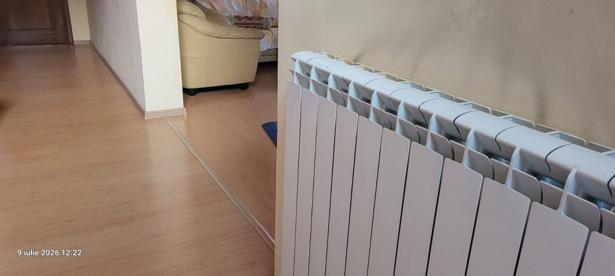 Miniatură 15