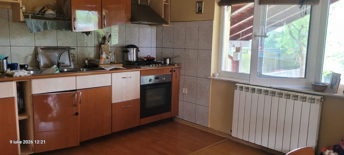 Miniatură 17