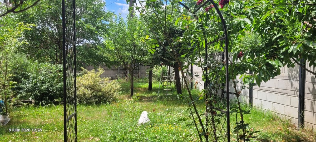 Miniatură 8