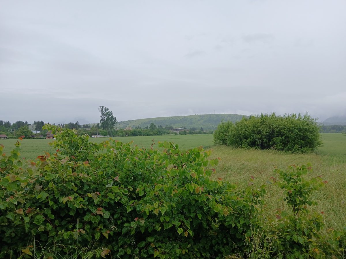 Miniatură 2