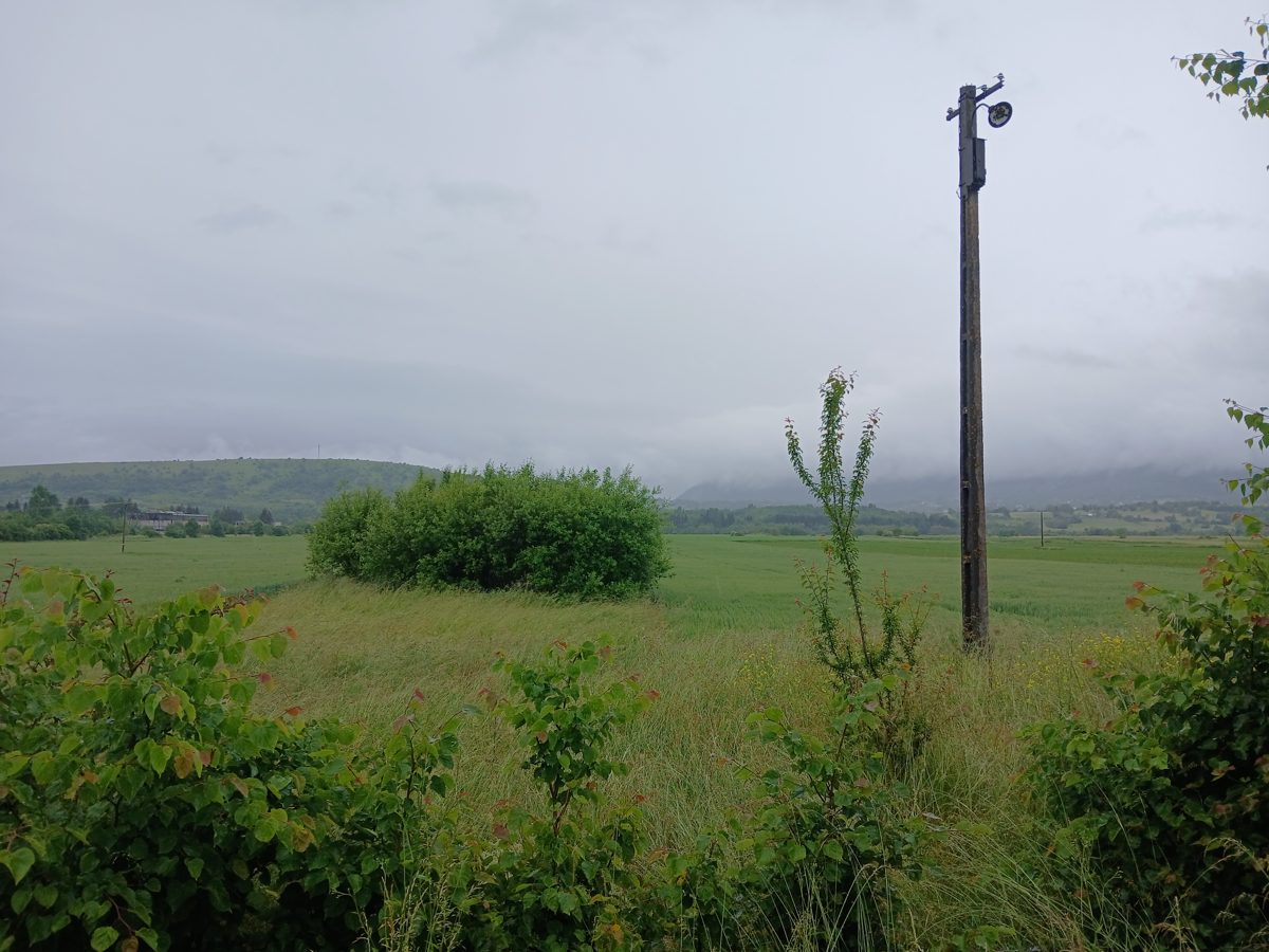 Miniatură 4