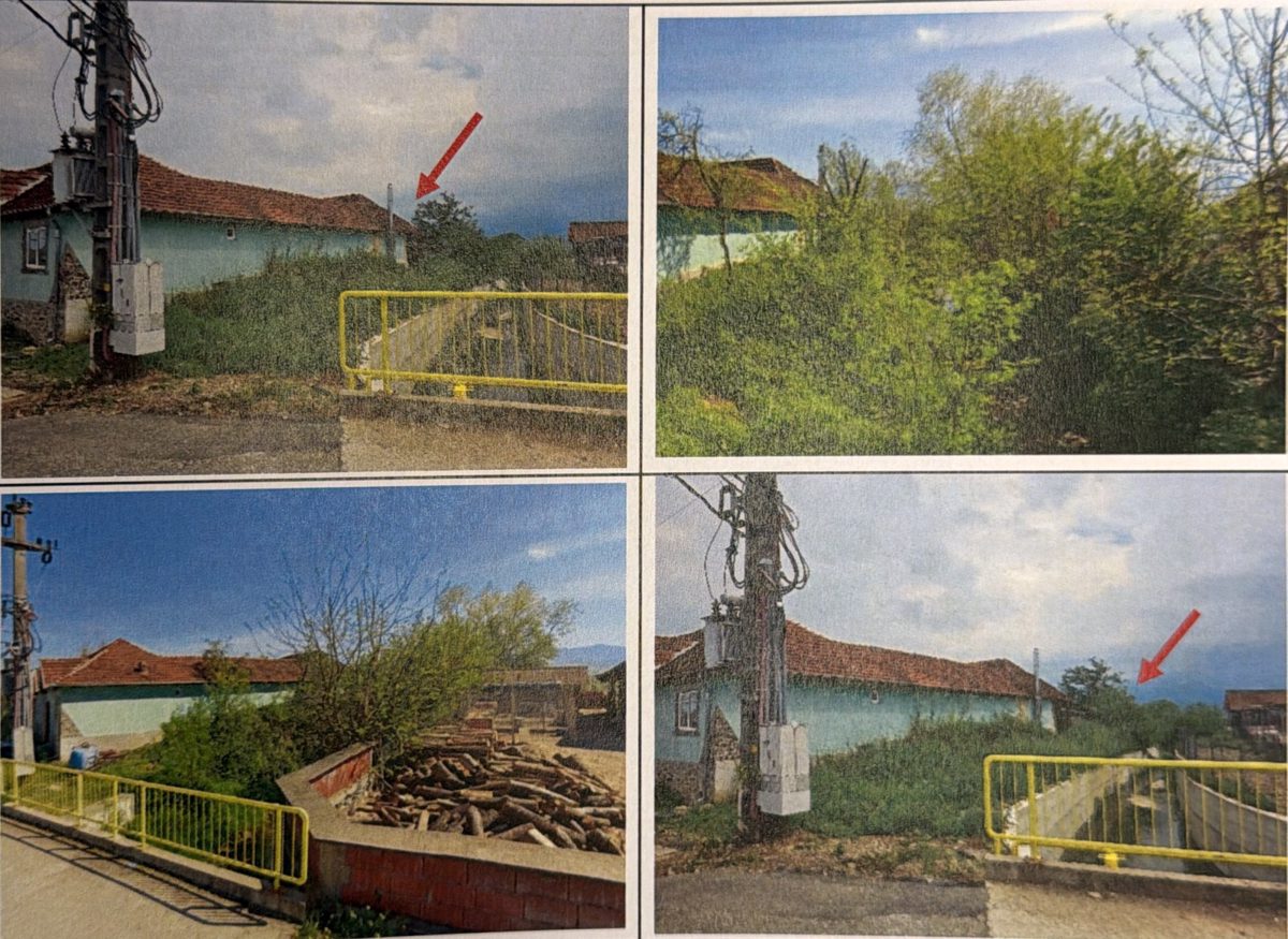 Miniatură 3