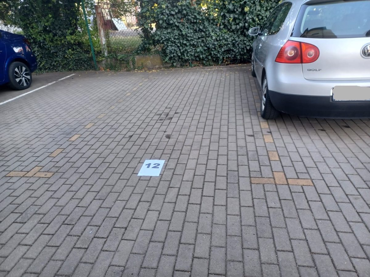 Miniatură 3
