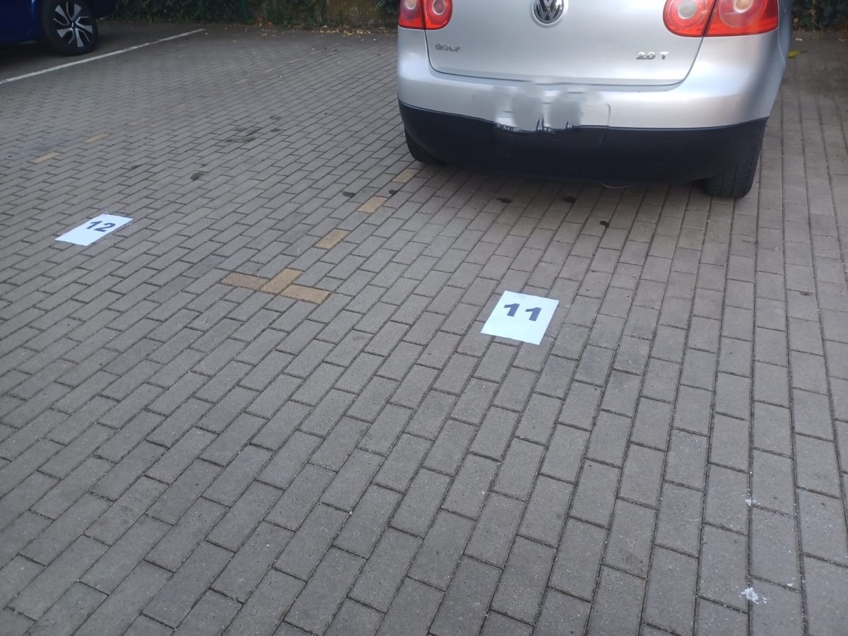 Miniatură 4
