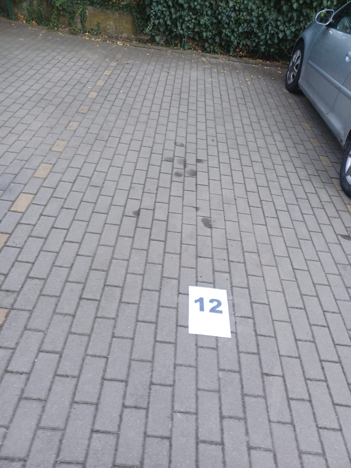 Miniatură 6