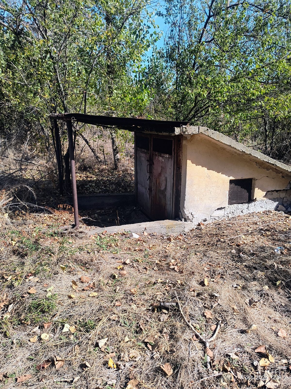 Miniatură 12