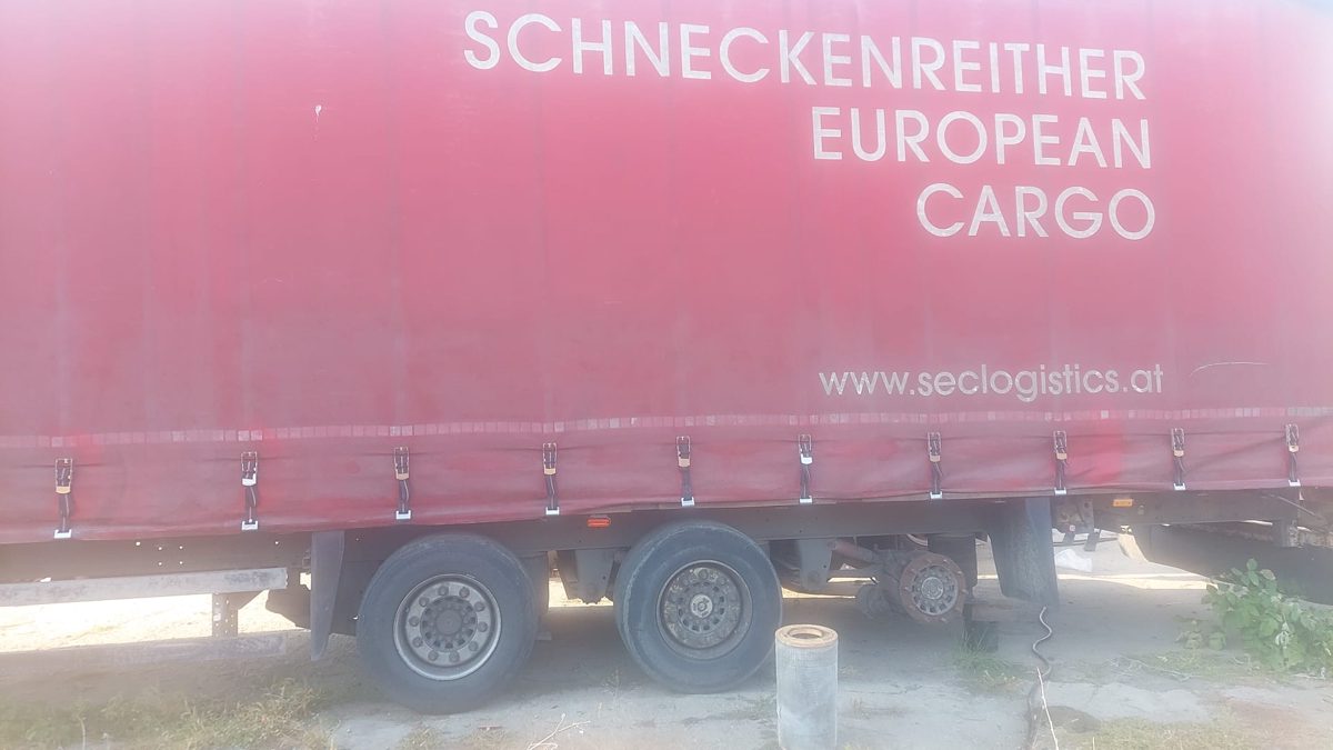 Miniatură 4