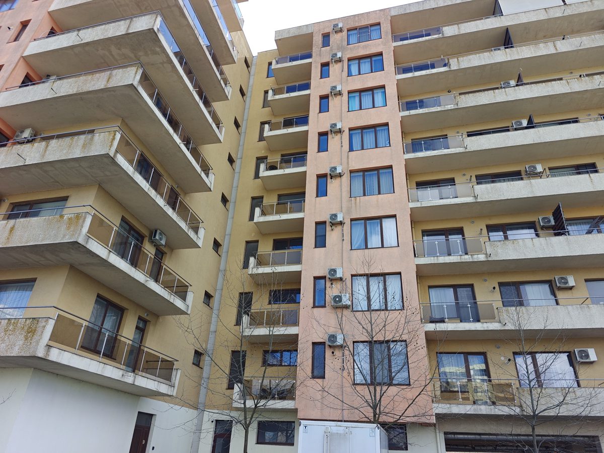 Miniatură 3