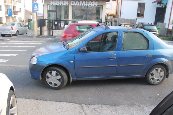 Miniatură 3