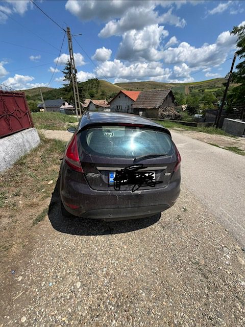 Miniatură 6