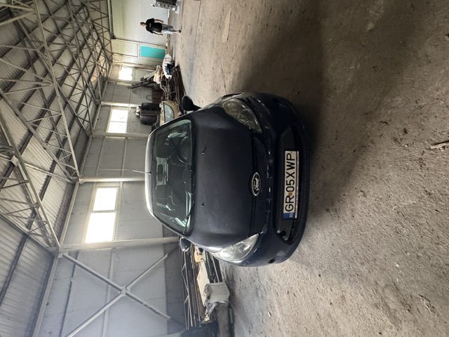 Miniatură 3