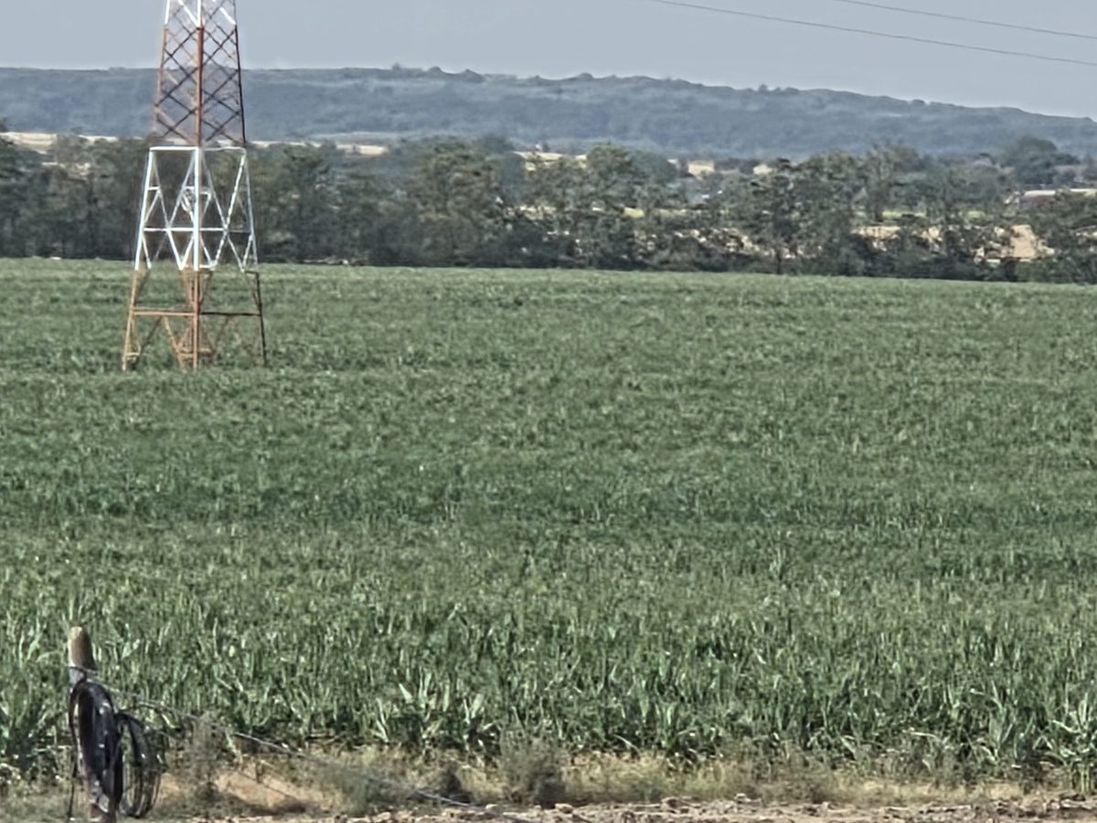 Teren agricol - 1