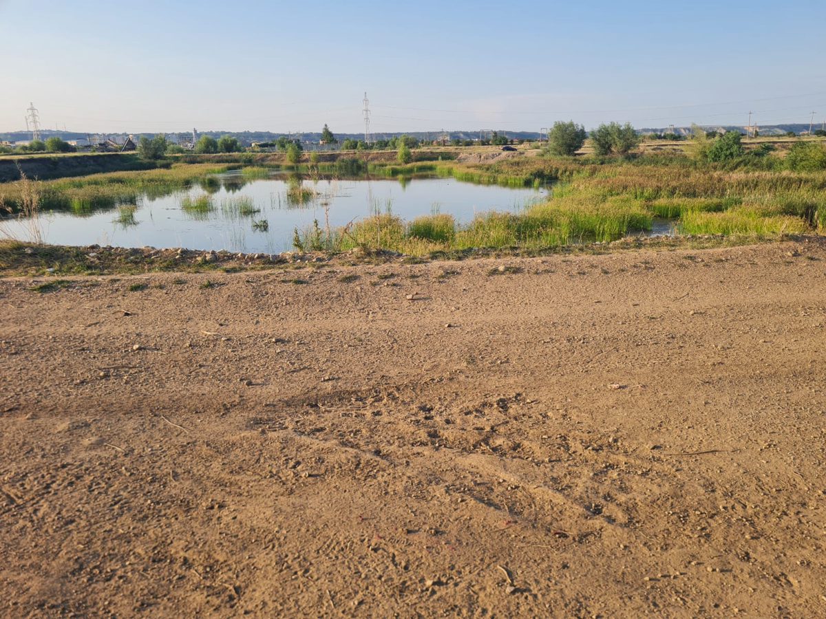 TEREN EXTRAVILAN IN SUPRAFATA DE 5000 MP, INREGISTRAT IN CF NR. 56172 TURDA 1