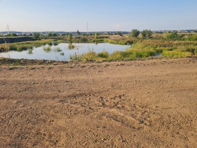 TEREN EXTRAVILAN IN SUPRAFATA DE 5000 MP, INREGISTRAT IN CF NR. 56172 TURDA