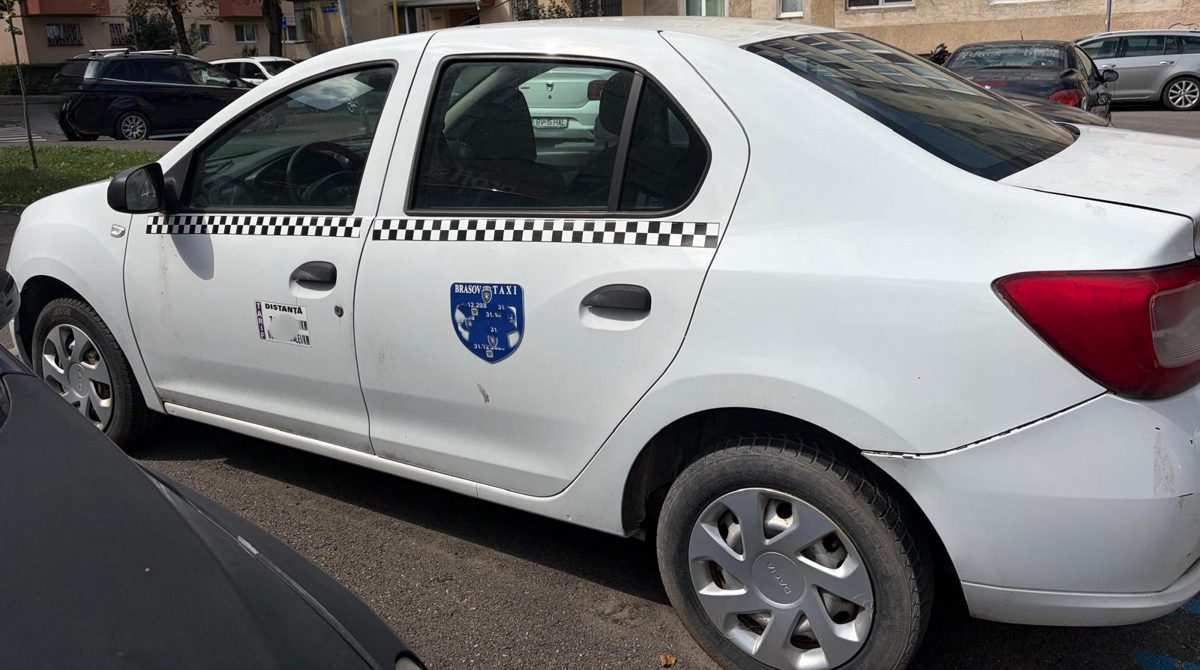 Miniatură 3