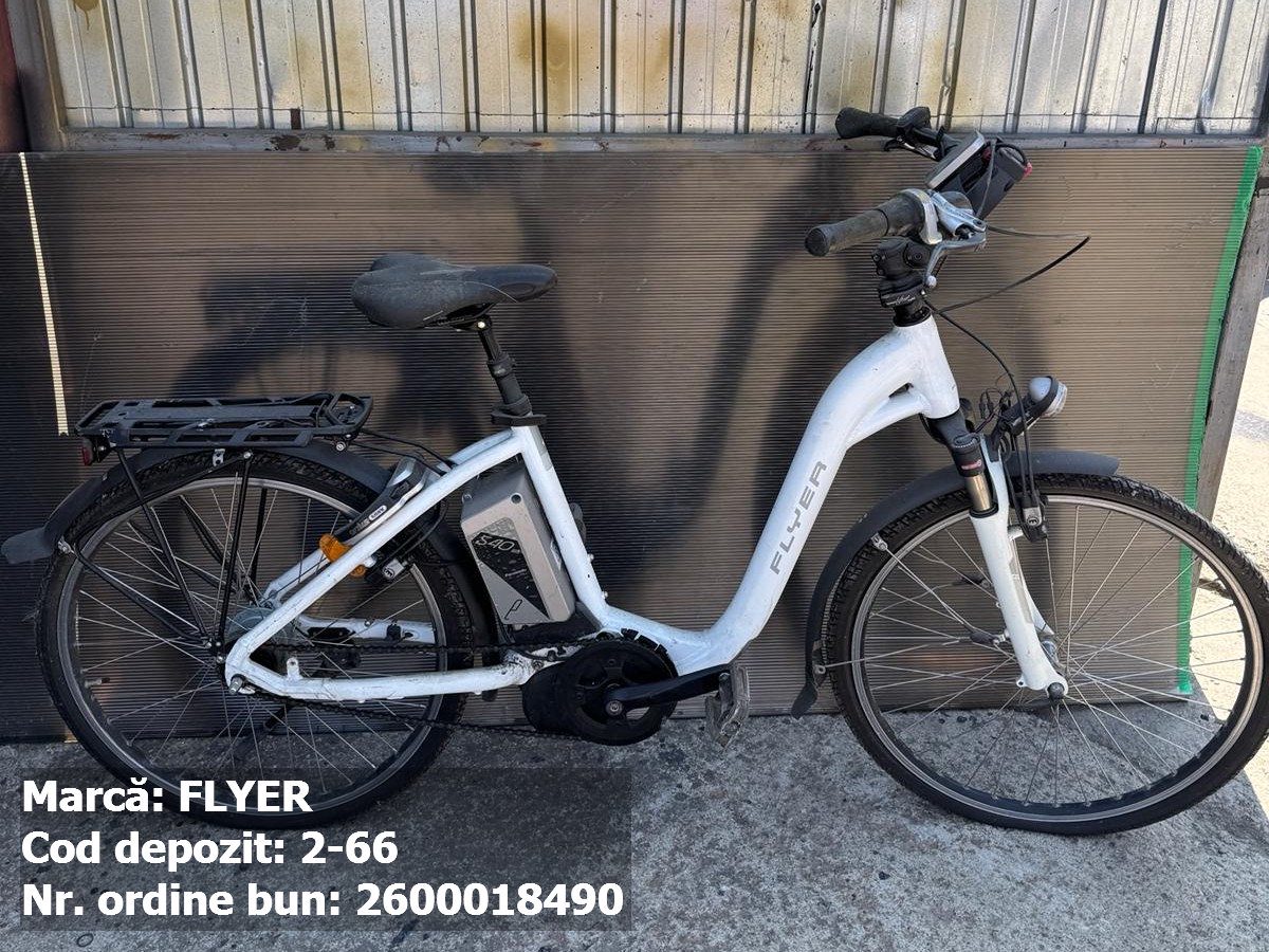 Bicicleta Electrica- Flayer 1