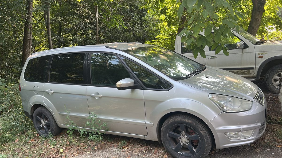 Miniatură 3