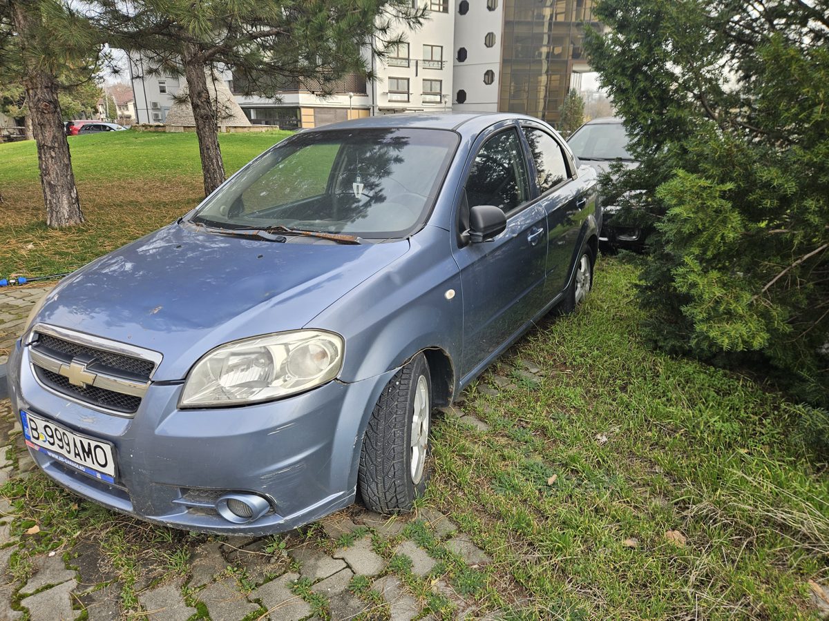 Miniatură 2