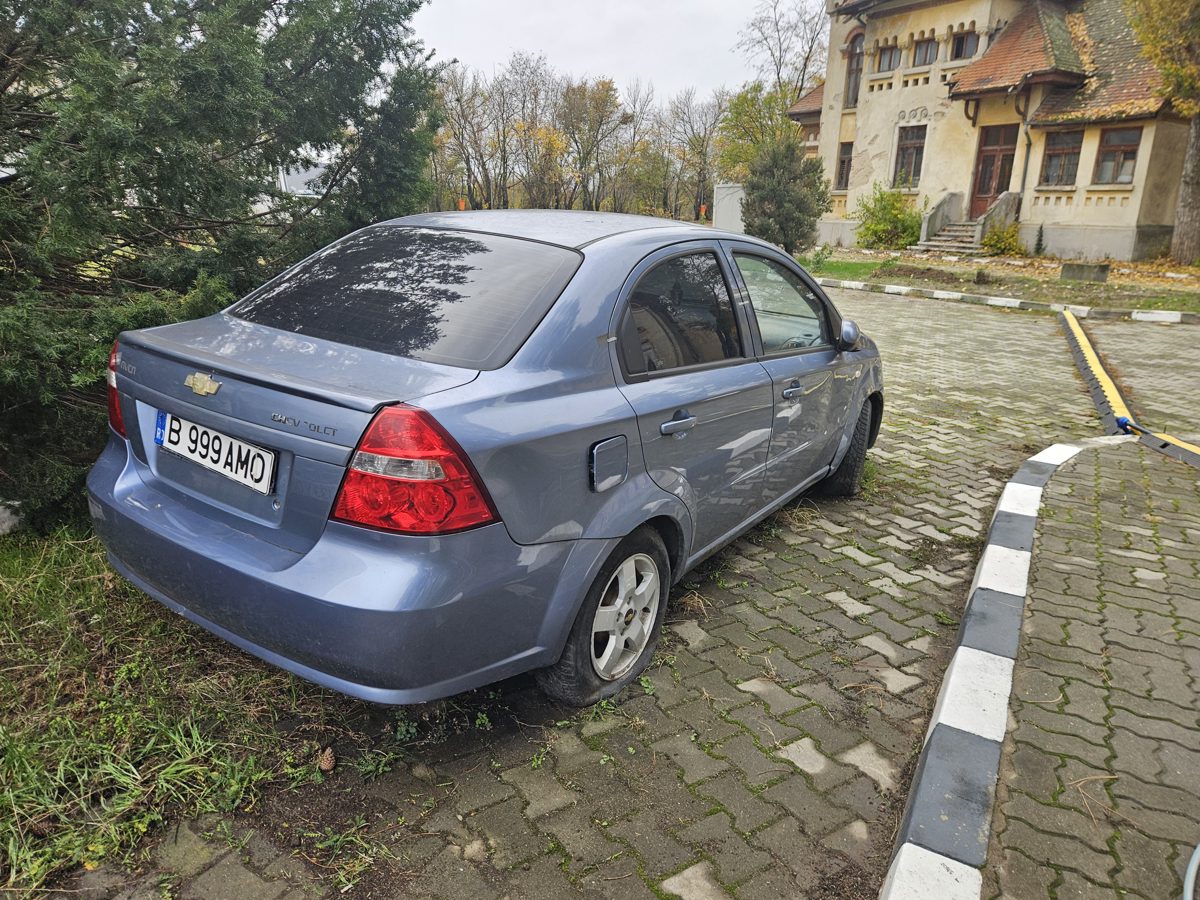 Miniatură 5