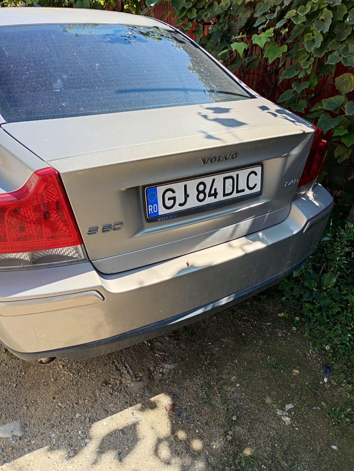 Miniatură 3