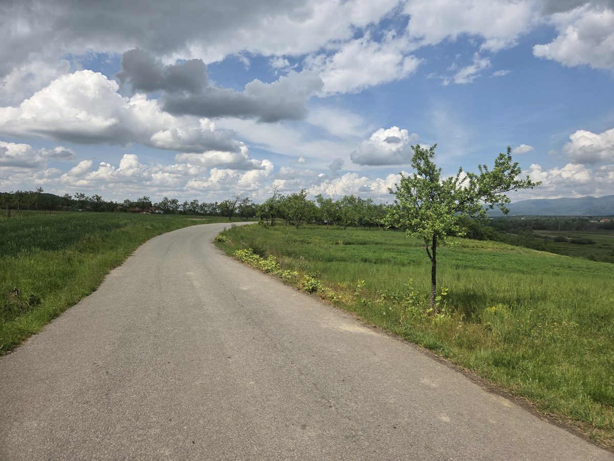 Teren extravilan, in suprafata de 228 mp, situat in loc Ghighiseni, jud Bihor 1
