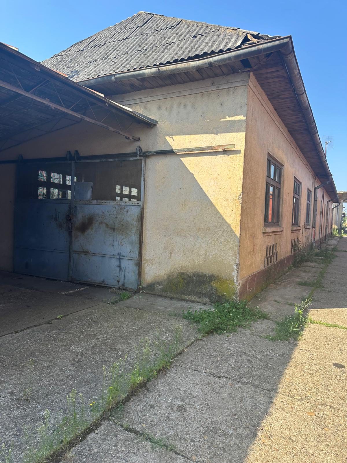 Miniatură 3