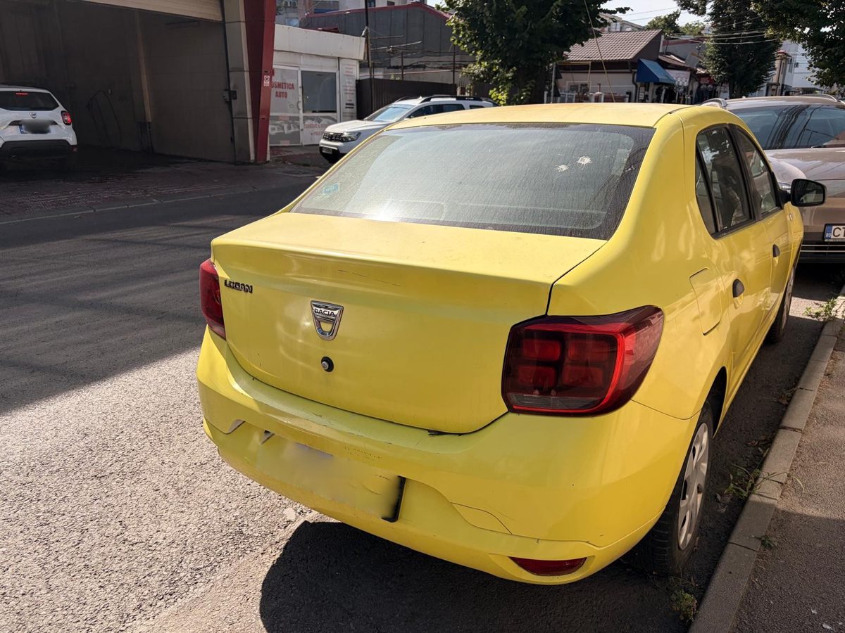 Miniatură 3