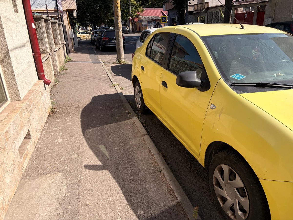 Miniatură 5
