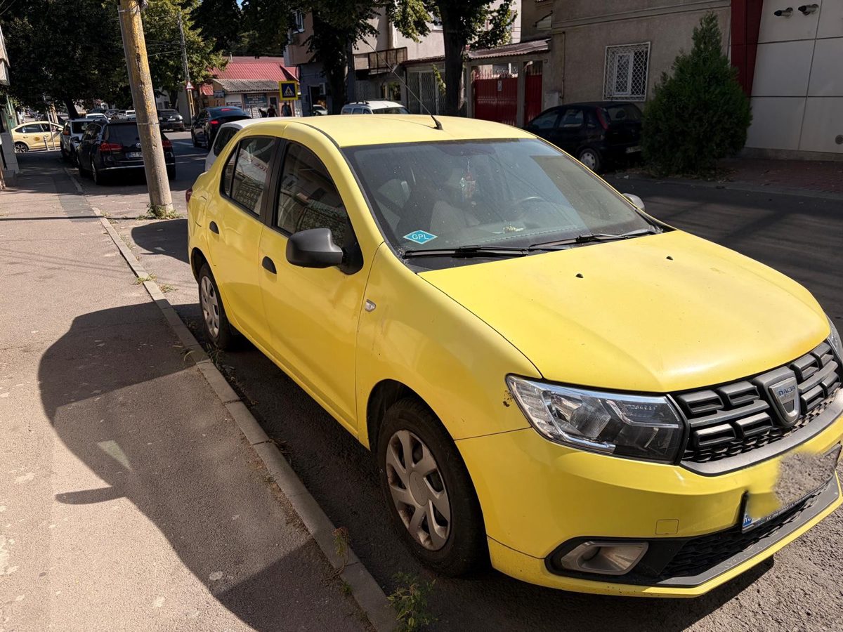 Miniatură 6