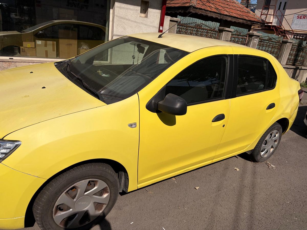 Miniatură 7