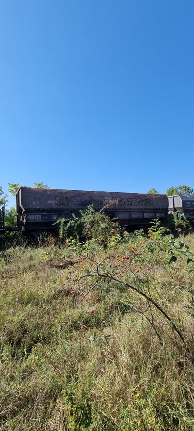 Vagon 815366552850 - Vagon marfa FALS (1988)