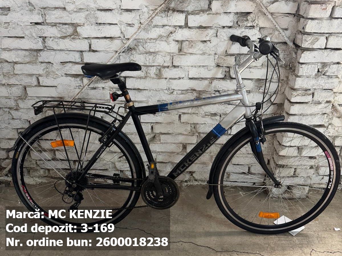 Bicicleta- McKenzie 1