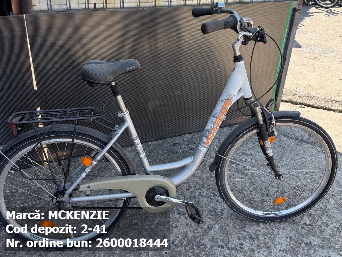 Bicicleta- McKenzie 1