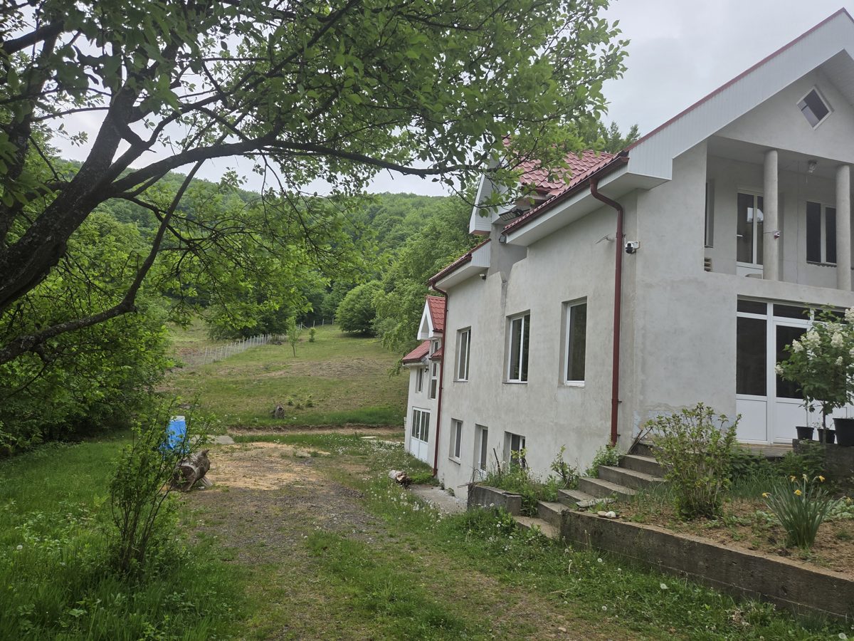 Cota de 1/8 din teren extravilan si casa de interes agricol cu suprafata de 114 mp, comuna Vama, judet Satu Mare 1