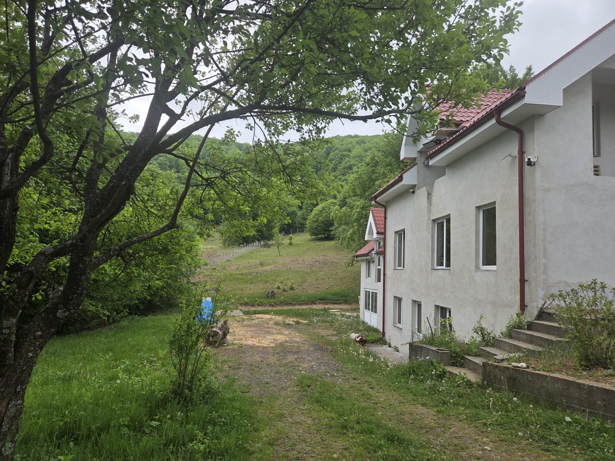Miniatură 2