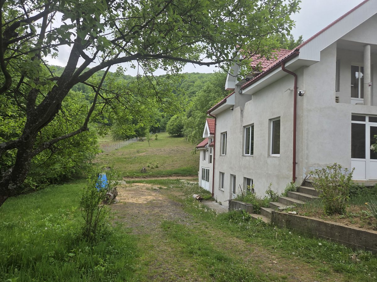 Miniatură 3