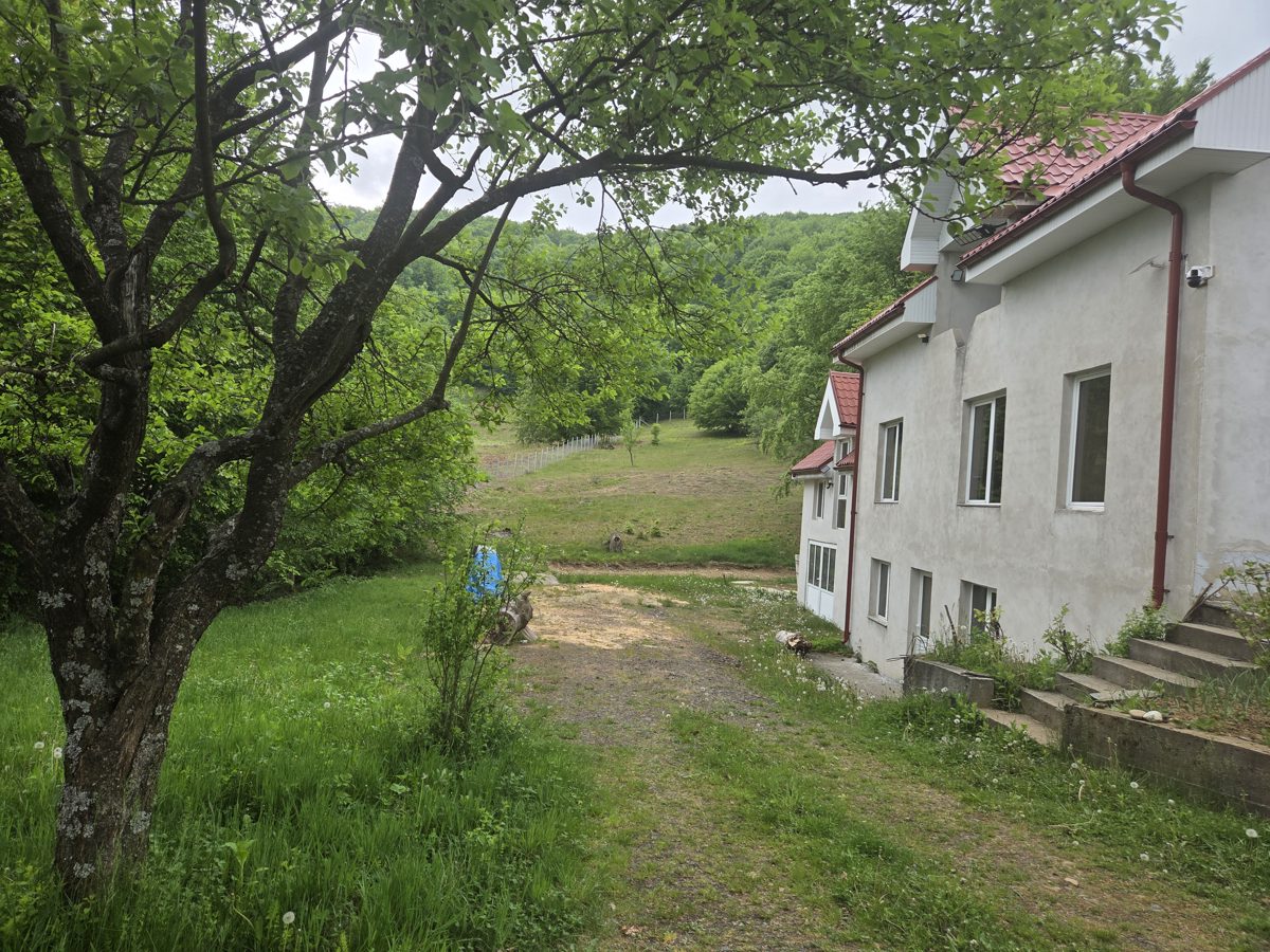 Miniatură 4