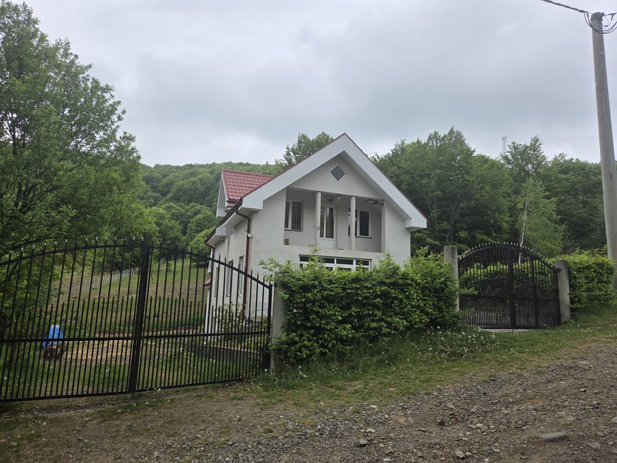 Miniatură 5
