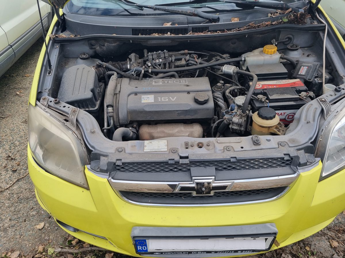 Miniatură 3