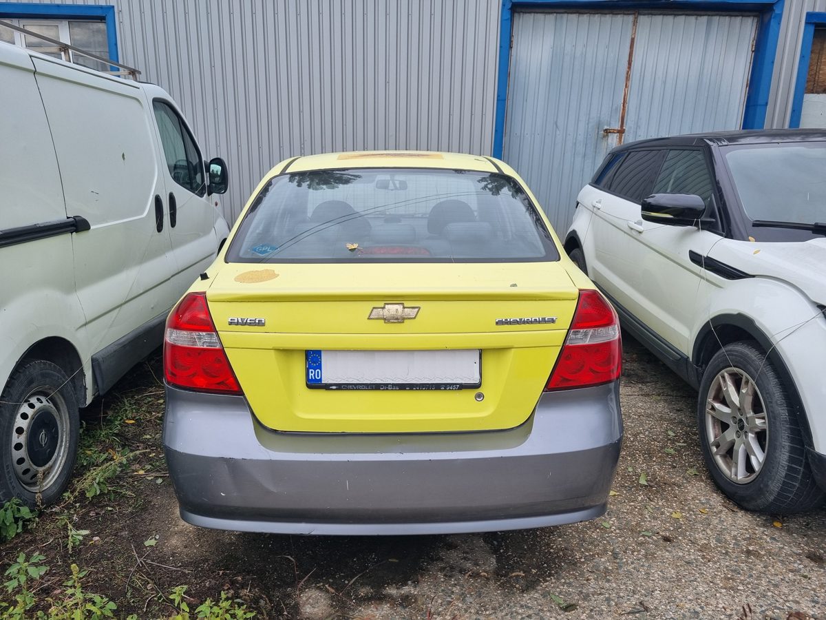 Miniatură 6