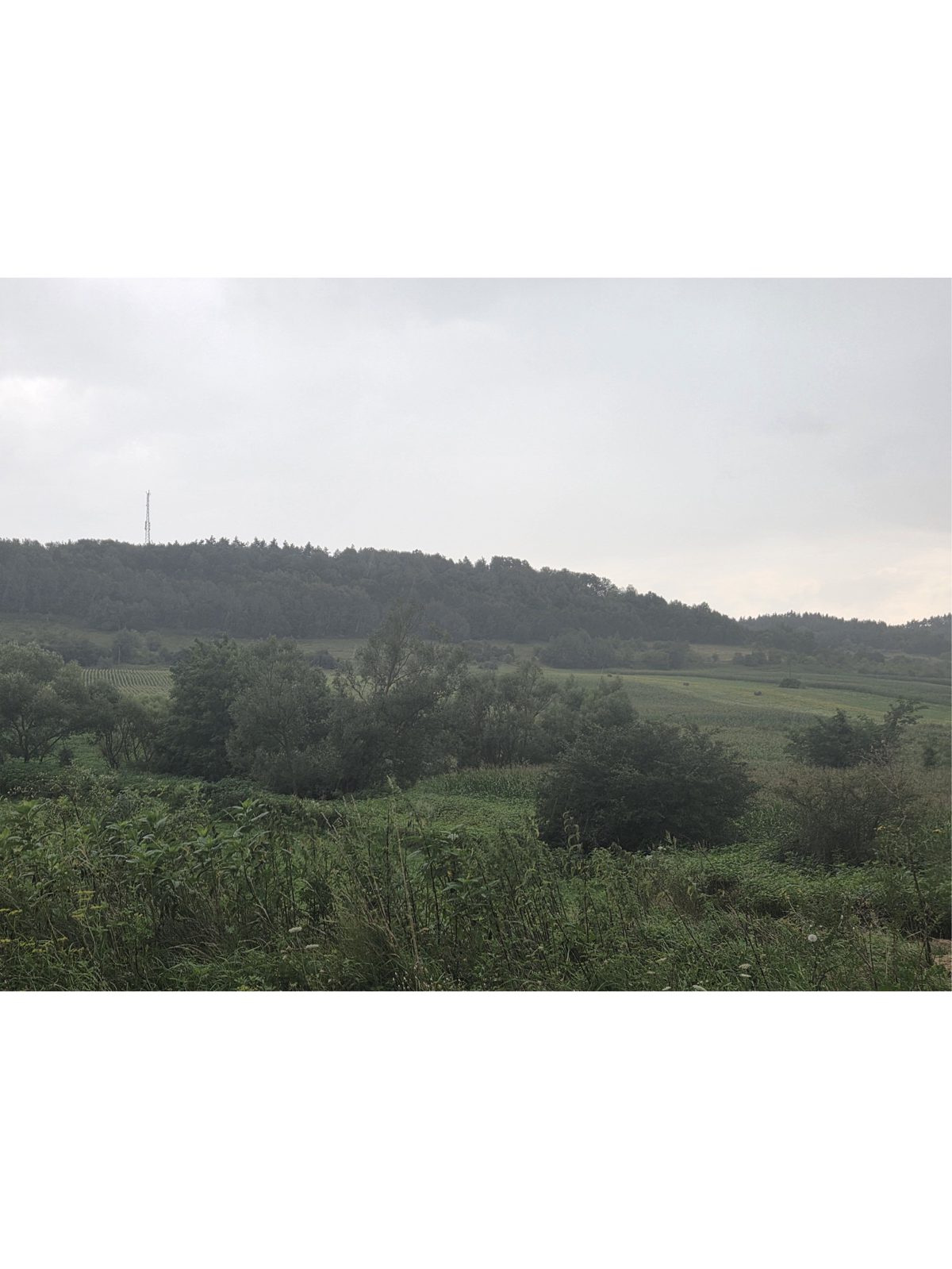 Teren intravilan arabil , adresa Jud. Cluj, UAT Aschileu, Loc. Aschileu Mare nr.61 1