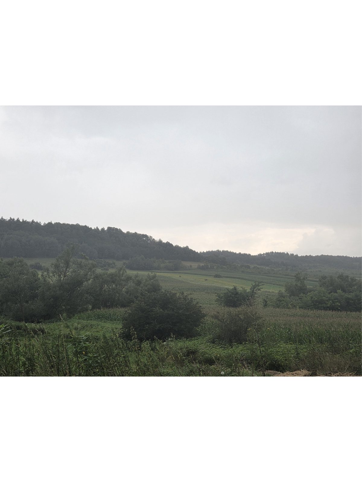 Miniatură 2