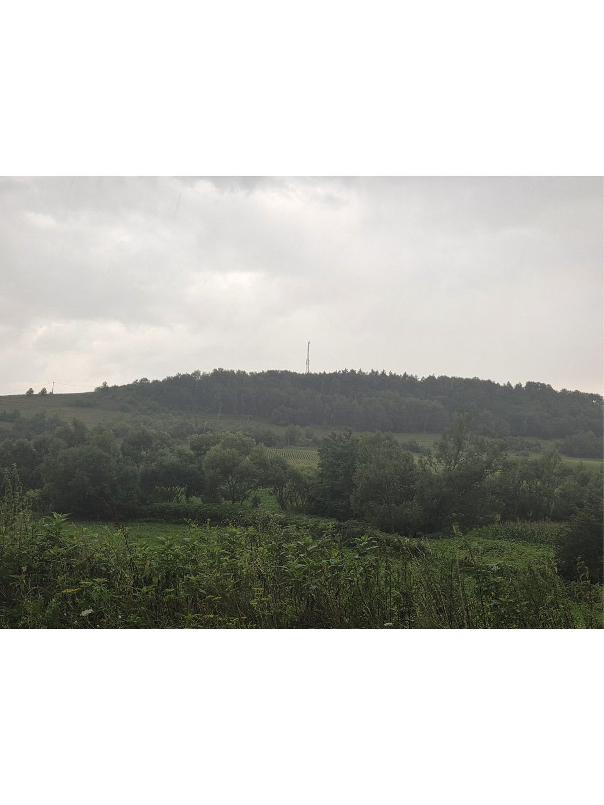 Miniatură 4