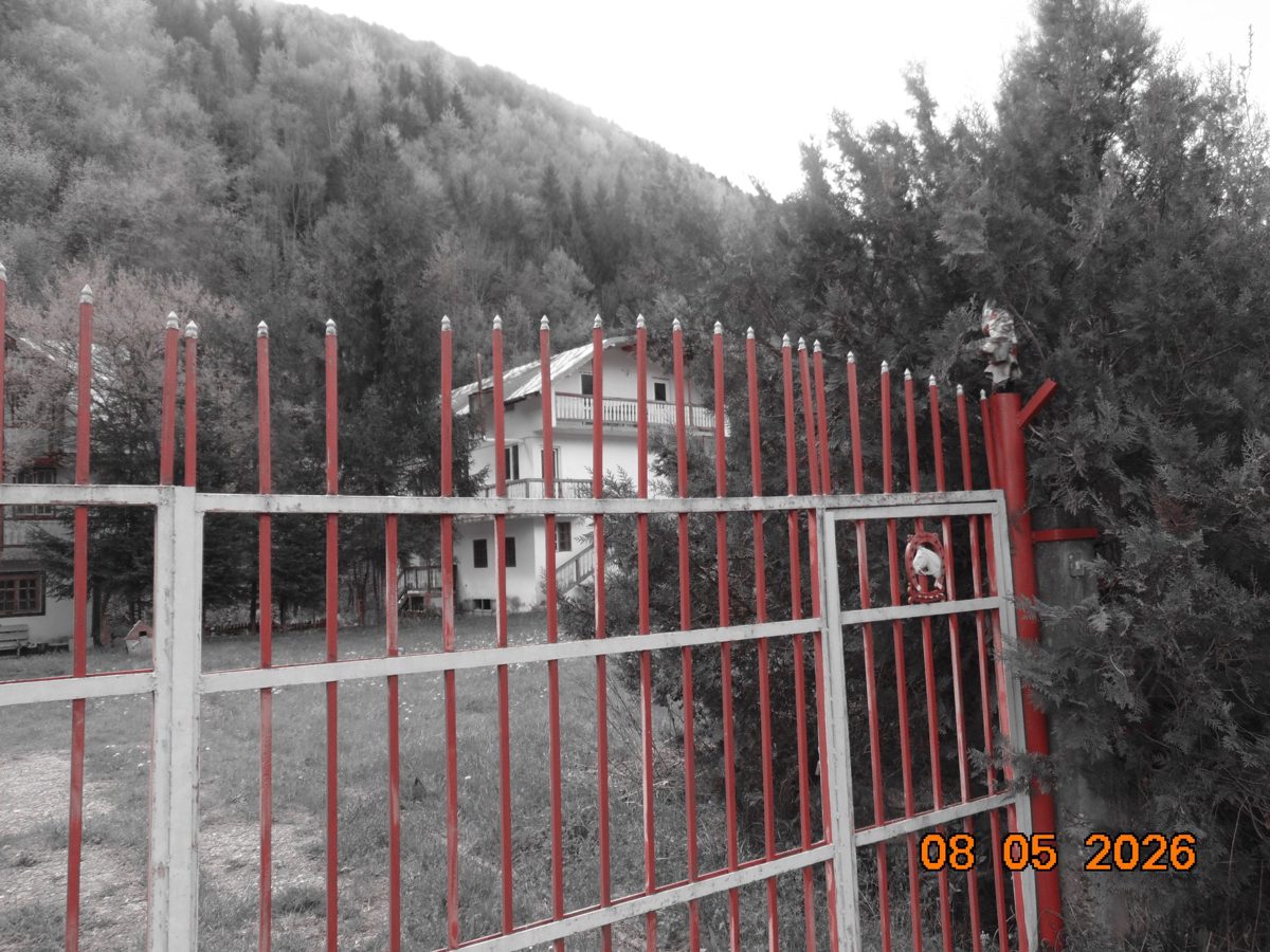 Miniatură 2